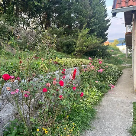 Εξοχικό σπίτι Rada, Kadinjaca *